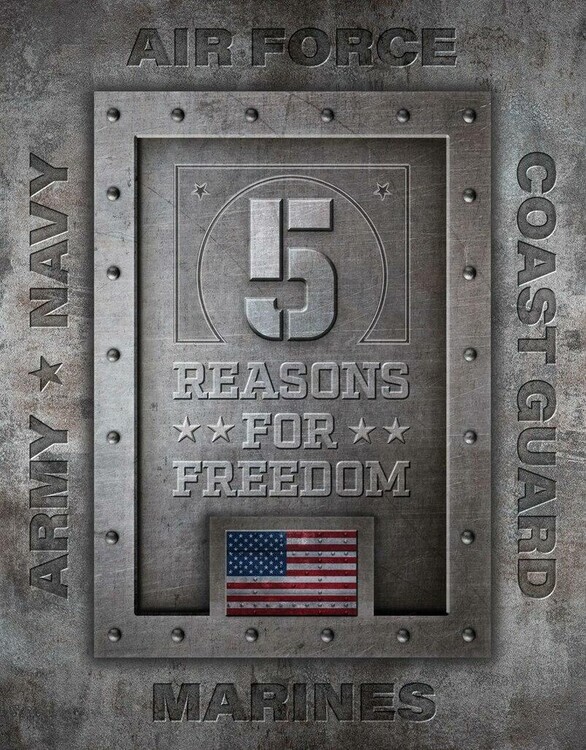 DESPERATE Plechová cedule 5 Reasons for Freedom, 31.5 × 40 cm