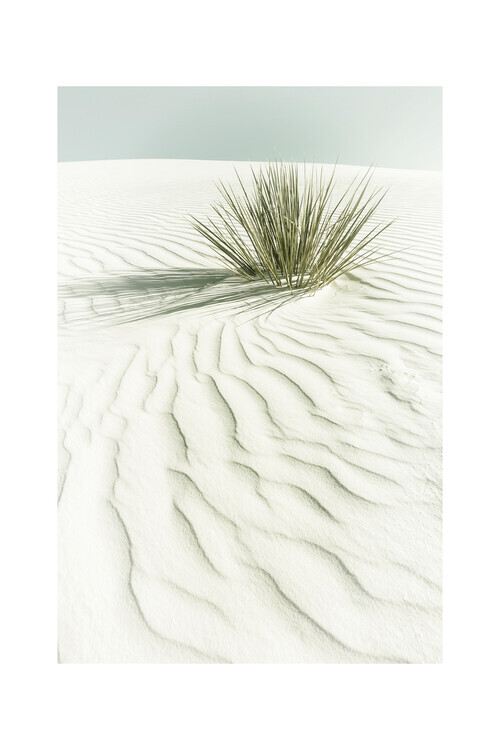 Europosters Plakát, Obraz - Melanie Viola - White sands, 40 × 60 cm