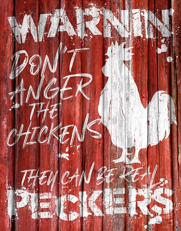 DESPERATE Plechová cedule Chicken Warnin, 31.5 × 40 cm