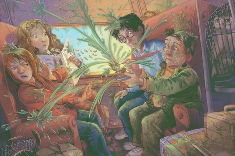 Europosters Plakát, Obraz - Harry Potter - Mimbulus Mimbletonia, 40 × 26.7 cm