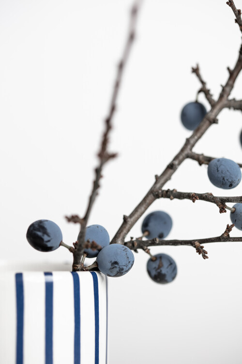 Studio Collection Plakát, Obraz - Berries Blue, Studio Collection, 26.7 × 40 cm