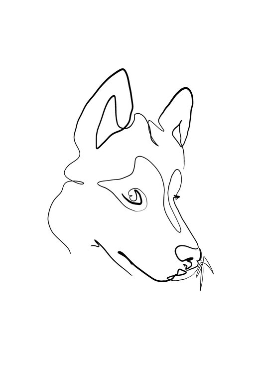 Hugo Jurčík Plakát, Obraz - Wolf, Hugo Jurčík, 30 × 40 cm