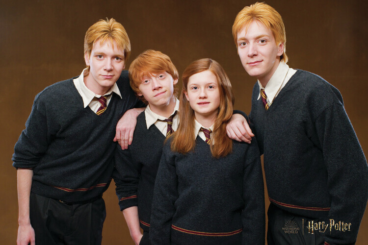 Europosters Plakát, Obraz - Harry Potter - Weasley family, 40 × 26.7 cm