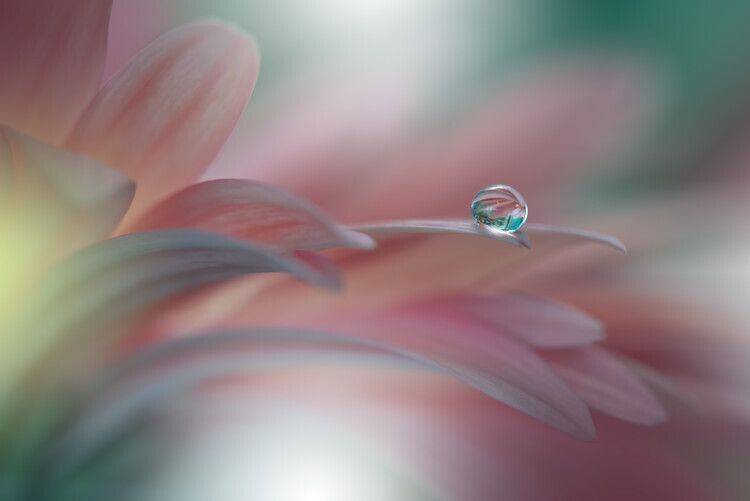 Juliana Nan Plakát, Obraz - Sunbeam..II, Juliana Nan, 40 × 26.7 cm