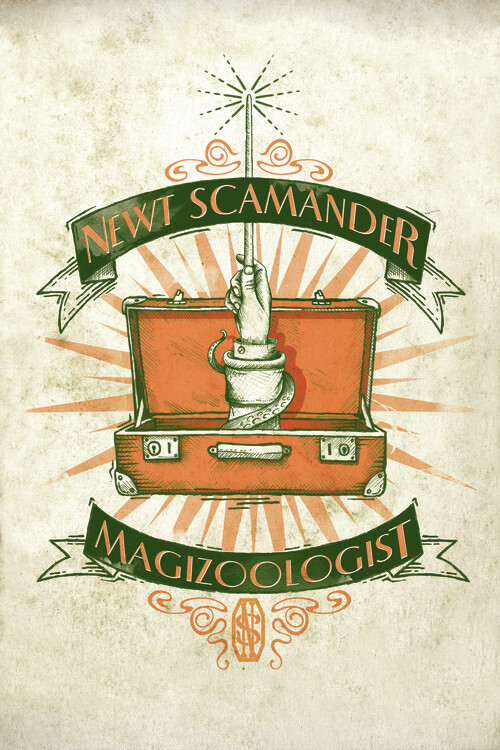 Europosters Plakát, Obraz - Newt Scammander - Magizoologist, 26.7 × 40 cm