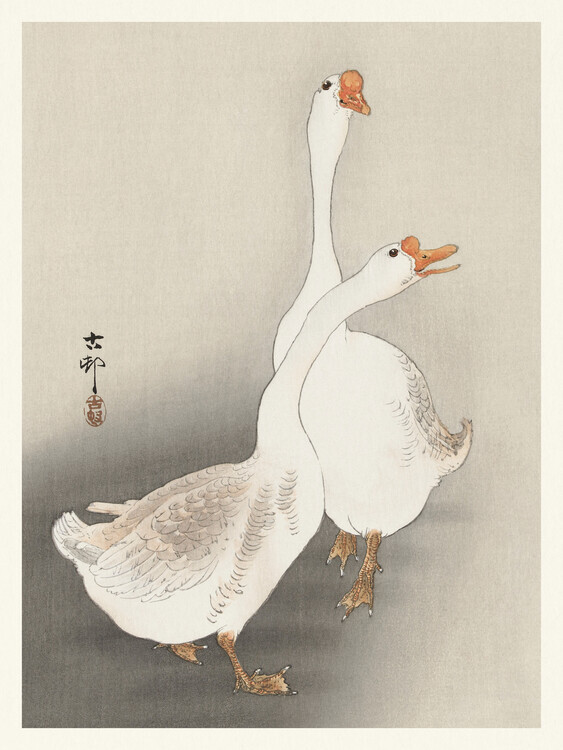 Ohara Koson Plakát, Obraz - Two Geese, Ohara Koson, 30 × 40 cm
