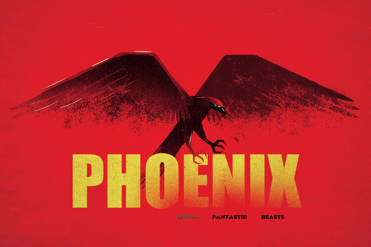 Europosters Plakát, Obraz - Fantastická zvířata - Fénix, 40 × 26.7 cm