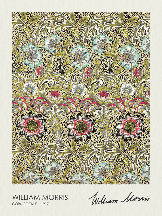William Morris Plakát, Obraz - Corncockle (1917), William Morris, 30 × 40 cm