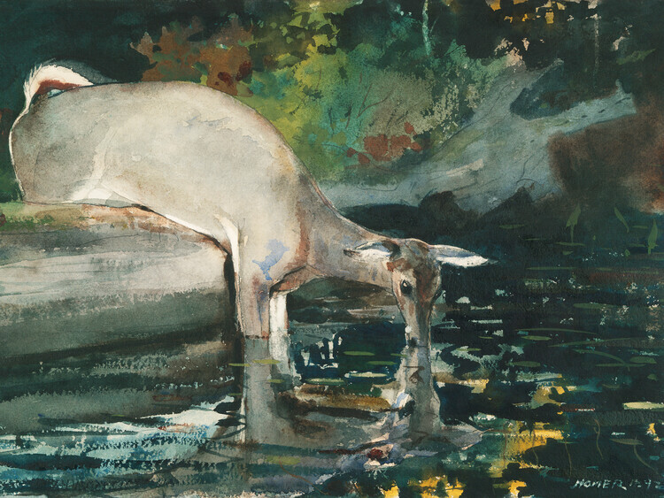 Winslow Homer Plakát, Obraz - Deer Drinking, Winslow Homer, 40 × 30 cm