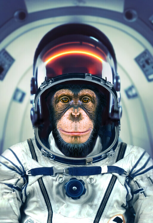 Marcel Egger Plakát, Obraz - AstroMonkey, Marcel Egger, 26.7 × 40 cm