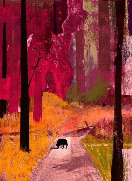McConochie, David Plakát, Obraz - Black Dog, 2013, McConochie, David, 30 × 40 cm