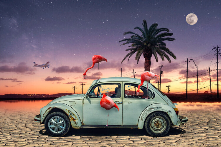 Christian Marcel Plakát, Obraz - Flamingos Ate My Car, Christian Marcel, 40 × 26.7 cm