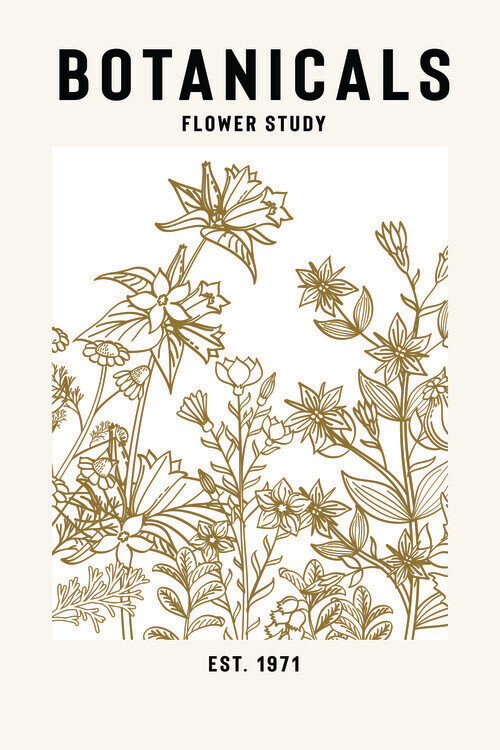jay stanley Plakát, Obraz - Botanicals Flower Study Ii, jay stanley, 26.7 × 40 cm
