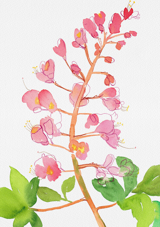 Kata Botanical Plakát, Obraz - Red horse-chestnut or Aesculus A carnea with watercolor and ink, Kata Botanical, 30 × 40 cm
