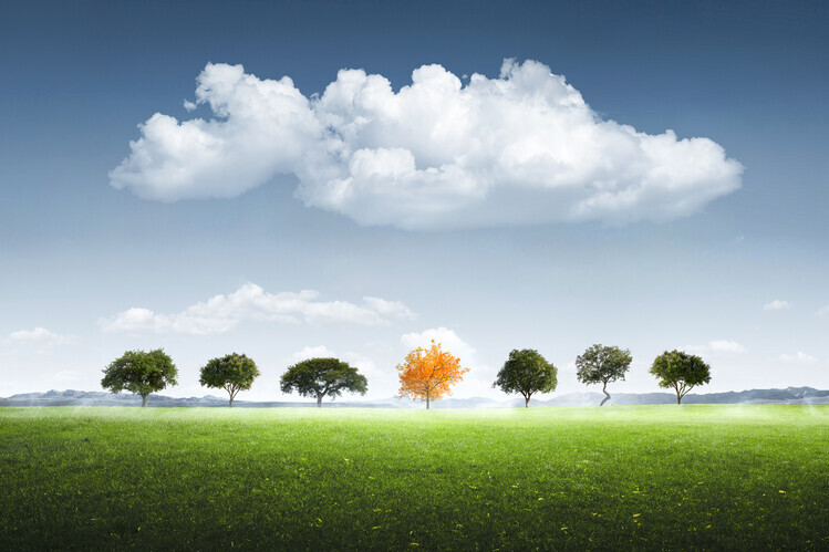 Bess Hamiti Plakát, Obraz - Seven Tree, Bess Hamiti, 40 × 26.7 cm