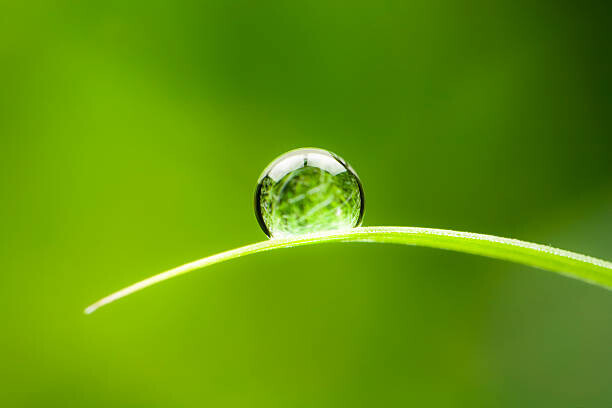 ThomasVogel Plakát, Obraz - Waterdrop.  Water Drop Leaf Environmental, ThomasVogel, 40 × 26.7 cm