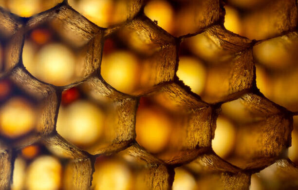 gulfu photography Plakát, Obraz - Honeycomb ultra Macro Photo, gulfu photography, 40 × 26.7 cm