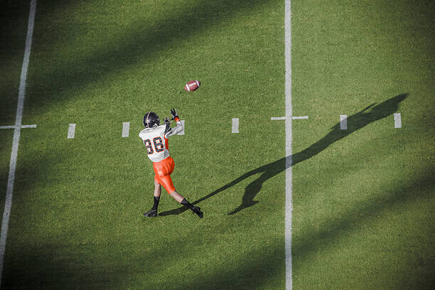 David Madison Plakát, Obraz - American football player catching a pass., David Madison, 40 × 26.7 cm