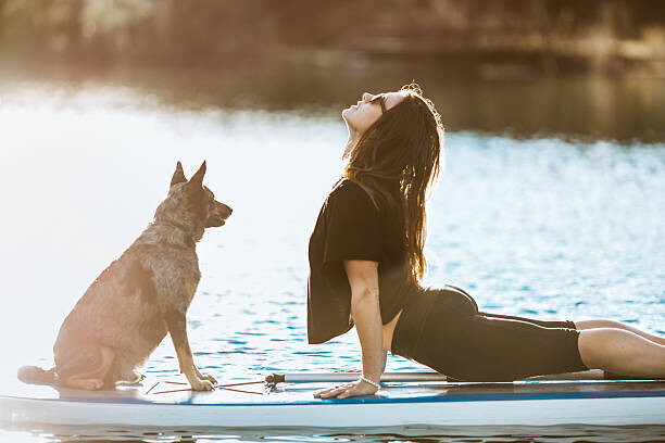 RyanJLane Plakát, Obraz - Paddleboarding Woman With Dog, RyanJLane, 40 × 26.7 cm