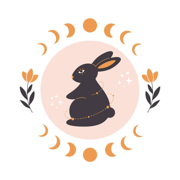 Alina Kotliar Plakát, Obraz - Cute rabbit with astrology, botany and, Alina Kotliar, 40 × 40 cm