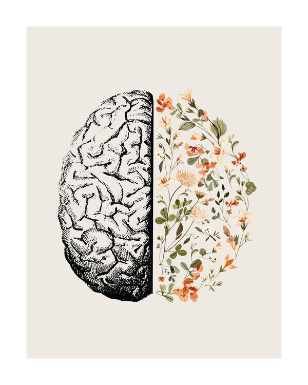 Beth Cai Plakát, Obraz - Brain Bloom, Beth Cai, 30 × 40 cm