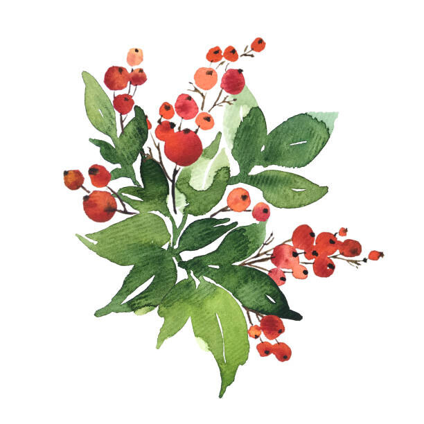 IMR Plakát, Obraz - Christmas watercolor bouquet arranging with holly, IMR, 40 × 40 cm
