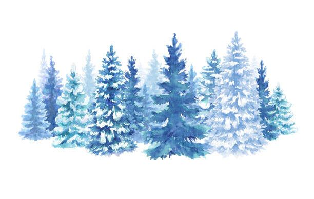 wacomka Plakát, Obraz - watercolor snowy forest illustration, Christmas fir, wacomka, 40 × 26.7 cm