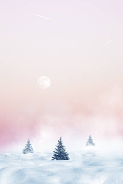 Delbars Plakát, Obraz - Winter minimalist landscape. Christmas trees against, Delbars, 26.7 × 40 cm