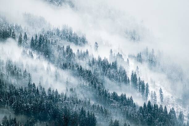 Markus Novak Plakát, Obraz - Misty Mountains, Markus Novak, 40 × 26.7 cm