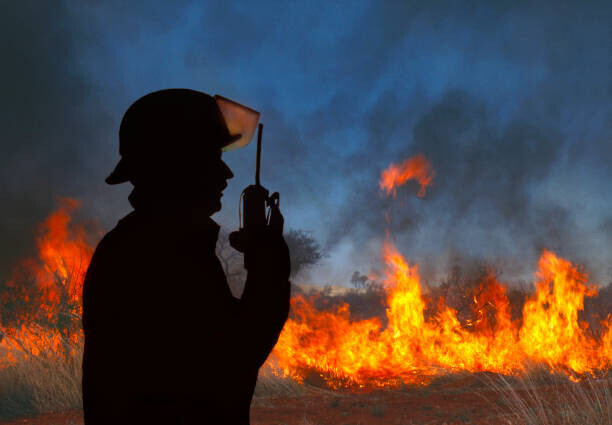 Grant Faint Plakát, Obraz - Fireman on radio, Grant Faint, 40 × 26.7 cm