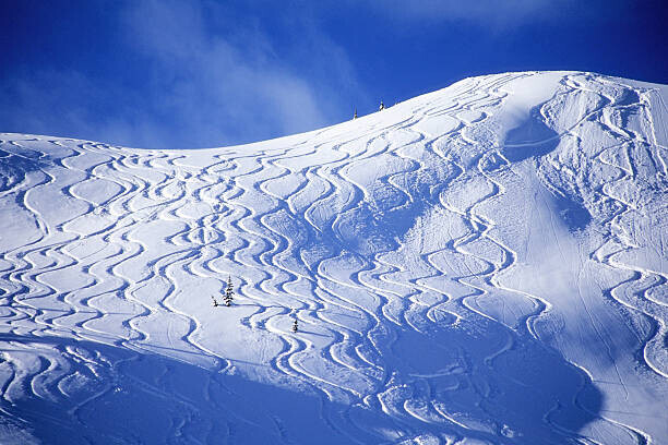 Heath Korvola Plakát, Obraz - Backcountry ski lines cover a beautiful hill., Heath Korvola, 40 × 26.7 cm