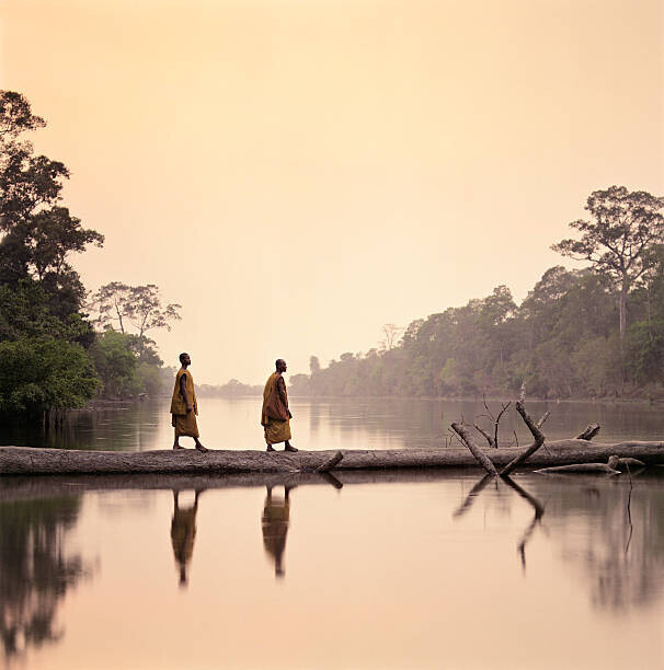 Martin Puddy Plakát, Obraz - Buddhist Monks walking along submerged tree, Martin Puddy, 40 × 40 cm