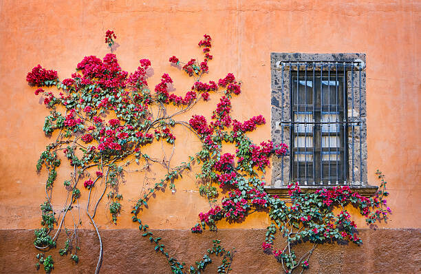 Diane Miller Plakát, Obraz - Architectural Details, San Miguel de Allende,, Diane Miller, 40 × 26.7 cm