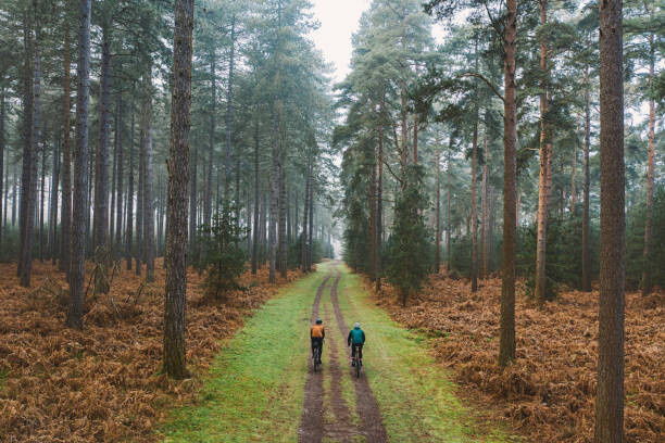 Justin Paget Plakát, Obraz - Drone view of two cyclists on forest track, Justin Paget, 40 × 26.7 cm