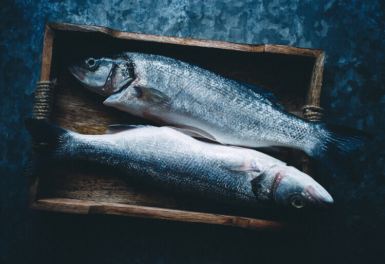 Aleksandrova Karina Plakát, Obraz - Two fishes, Aleksandrova Karina, 40 × 26.7 cm