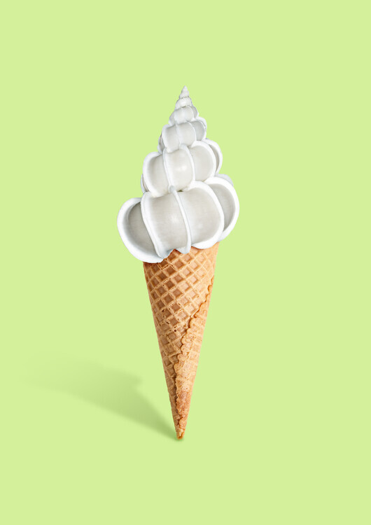 Artem Pozdniakov Plakát, Obraz - Shell cream, Artem Pozdniakov, 30 × 40 cm