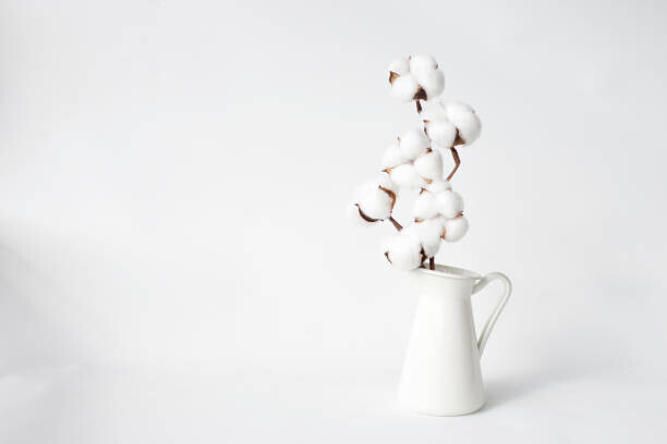 paula sierra Plakát, Obraz - Cotton in a vase, paula sierra, 40 × 26.7 cm