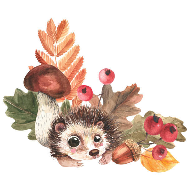 Tatyana Apt Plakát, Obraz - Corner composition of hedgehog, mushrooms, falling, Tatyana Apt, 40 × 40 cm