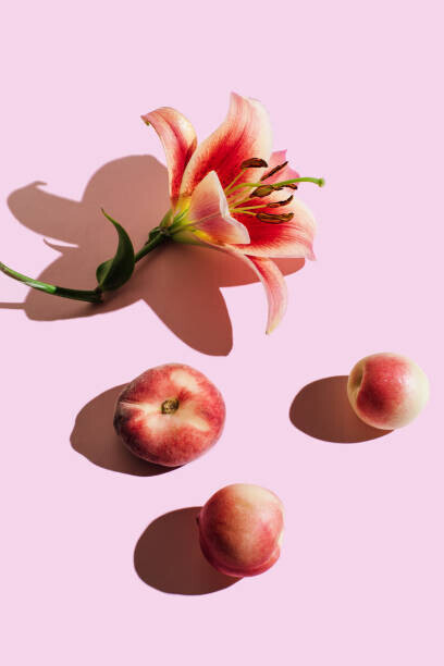 Tanja Ivanova Plakát, Obraz - Lily flower and peaches on pink, Tanja Ivanova, 26.7 × 40 cm