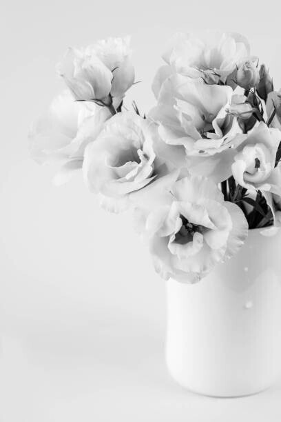 white_caty Plakát, Obraz - Beauty Eustoma flowers in vase. Black, white_caty, 26.7 × 40 cm
