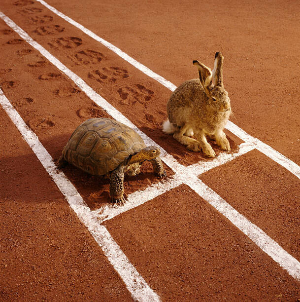 GK Hart/Vikki Hart Plakát, Obraz - TORTOISE AND HARE ON TRACK, GK Hart/Vikki Hart, 40 × 40 cm
