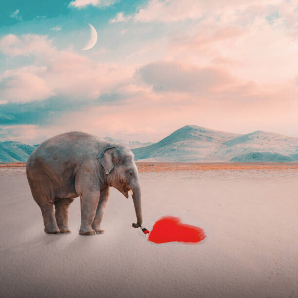 Kelsey Segatto / 500px Plakát, Obraz - Abstract concept,Side view of elephant standing, Kelsey Segatto / 500px, 40 × 40 cm
