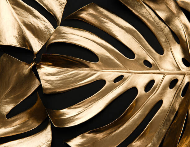 xmocb Plakát, Obraz - Golden monstera leaf on black background, xmocb, 40 × 30 cm