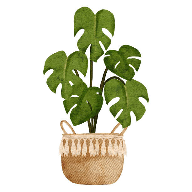 Elsa Fitria Bena Plakát, Obraz - watercolor home decor monstera plant with pot, Elsa Fitria Bena, 40 × 40 cm