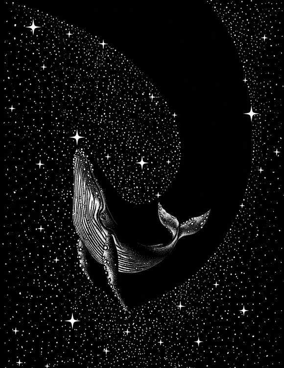 Aliriza Cakir Plakát, Obraz - Starry Whale, Aliriza Cakir, 30 × 40 cm