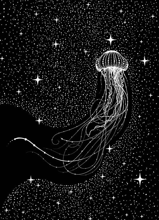 Aliriza Cakir Plakát, Obraz - Starry Jellyfish, Aliriza Cakir, 30 × 40 cm