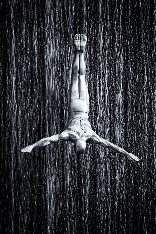 Martin Fleckenstein Plakát, Obraz - fine diving, Martin Fleckenstein, 26.7 × 40 cm