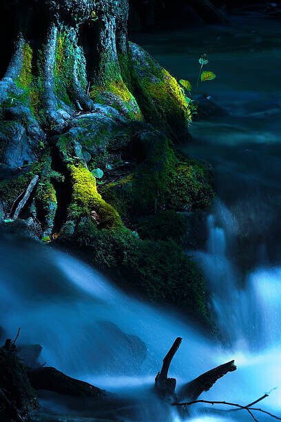 nyul Plakát, Obraz - Running creek, nyul, 26.7 × 40 cm