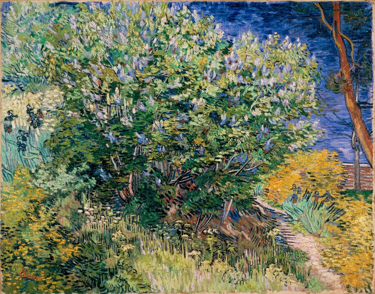 Vincent van Gogh Plakát, Obraz - Lilac bush (1889), Vincent van Gogh, 40 × 30 cm