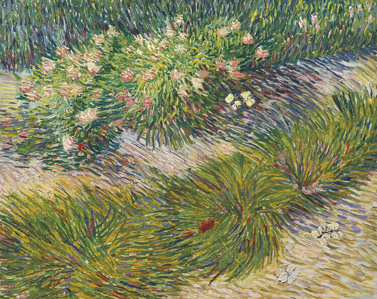 Vincent van Gogh Plakát, Obraz - Grass and Butterflies (1889), Vincent van Gogh, 40 × 30 cm